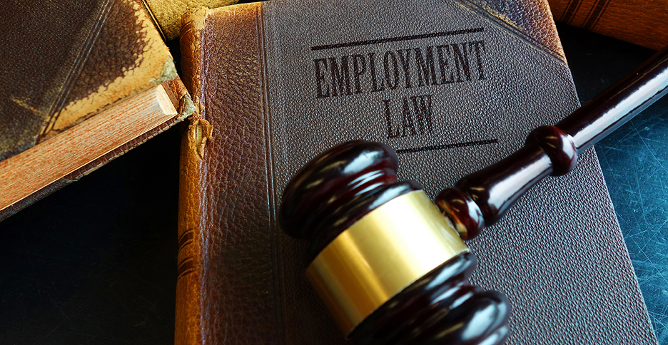 No Employment Termination Cases